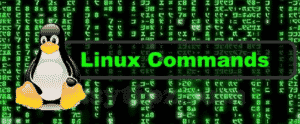 40 Perintah Dasar Pada Operasi Sistem Linux Lengkap Dengan Syntax dan Fungsi