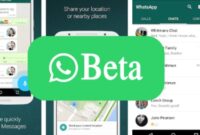 WhatsApp Beta (WA Beta) Apk Versi Terbaru